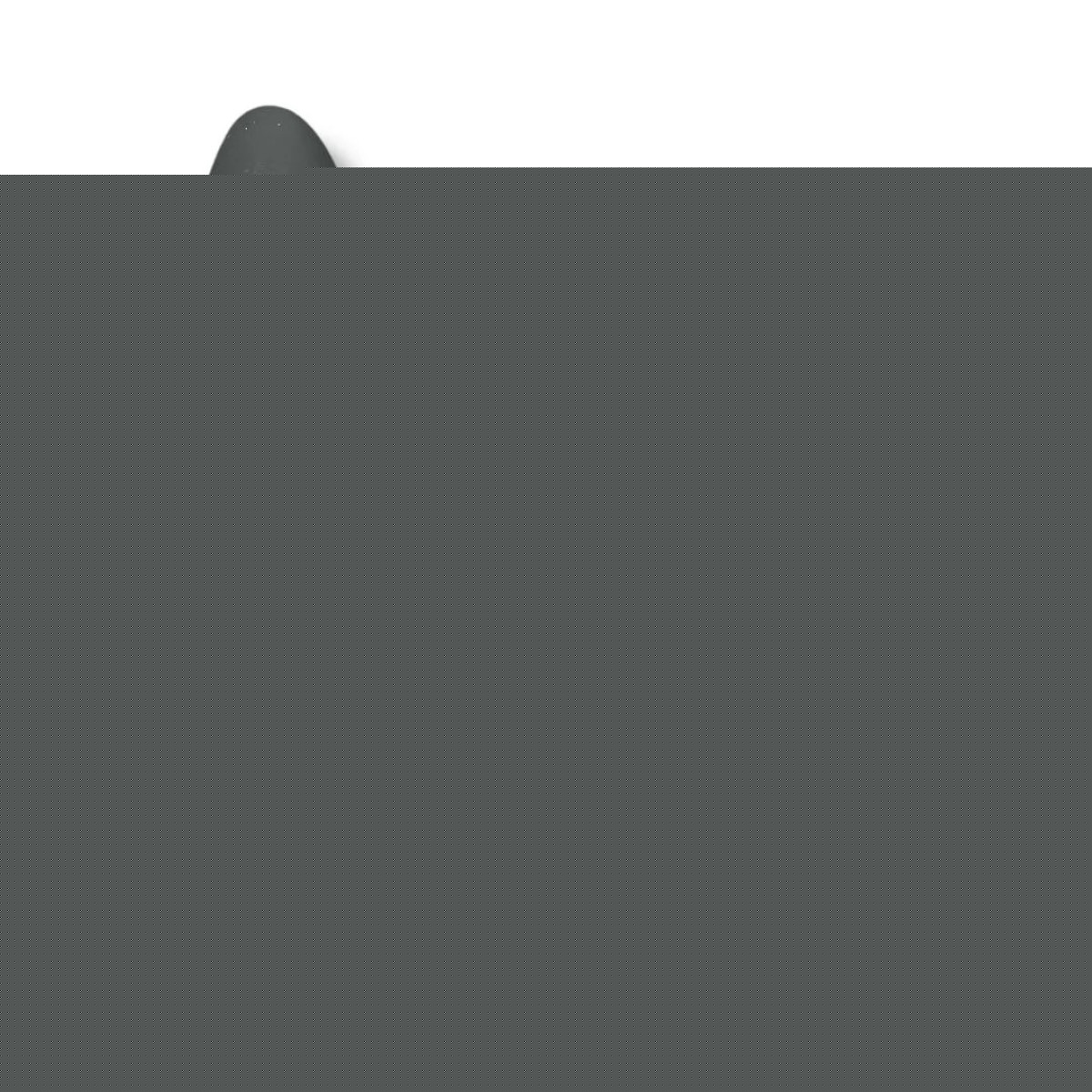 Vibrador prostatico Telescopio Control Largo Total 14cm